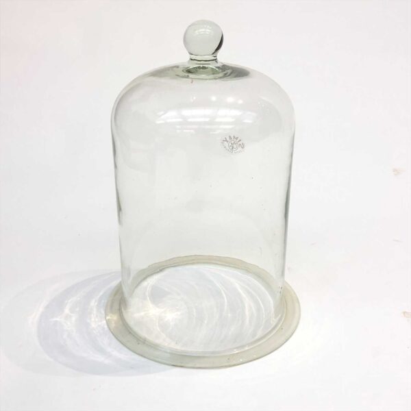 Bell Jars (small, medium, and large) Bio-Viewers - Image 2