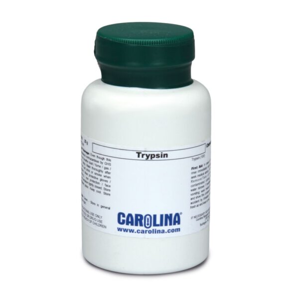 Trypsin 25g - Image 2