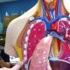 Respiratory Systems